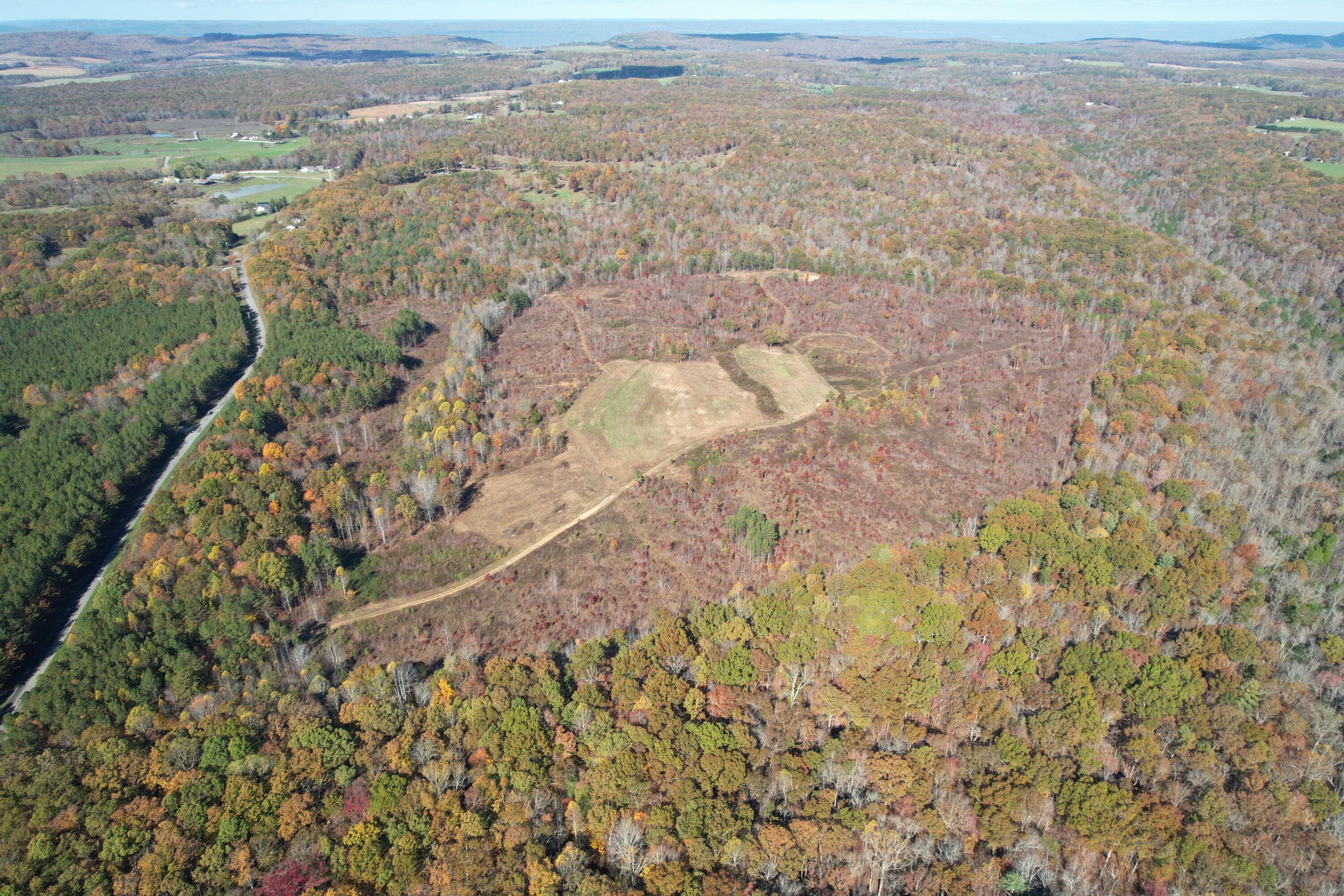 Leggett Road, Pikeville, Tennessee image 21