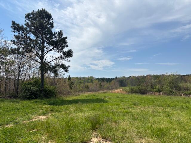 Leggett Road, Pikeville, Tennessee image 20