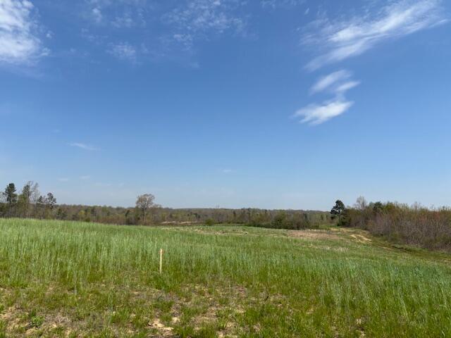 Leggett Road, Pikeville, Tennessee image 9