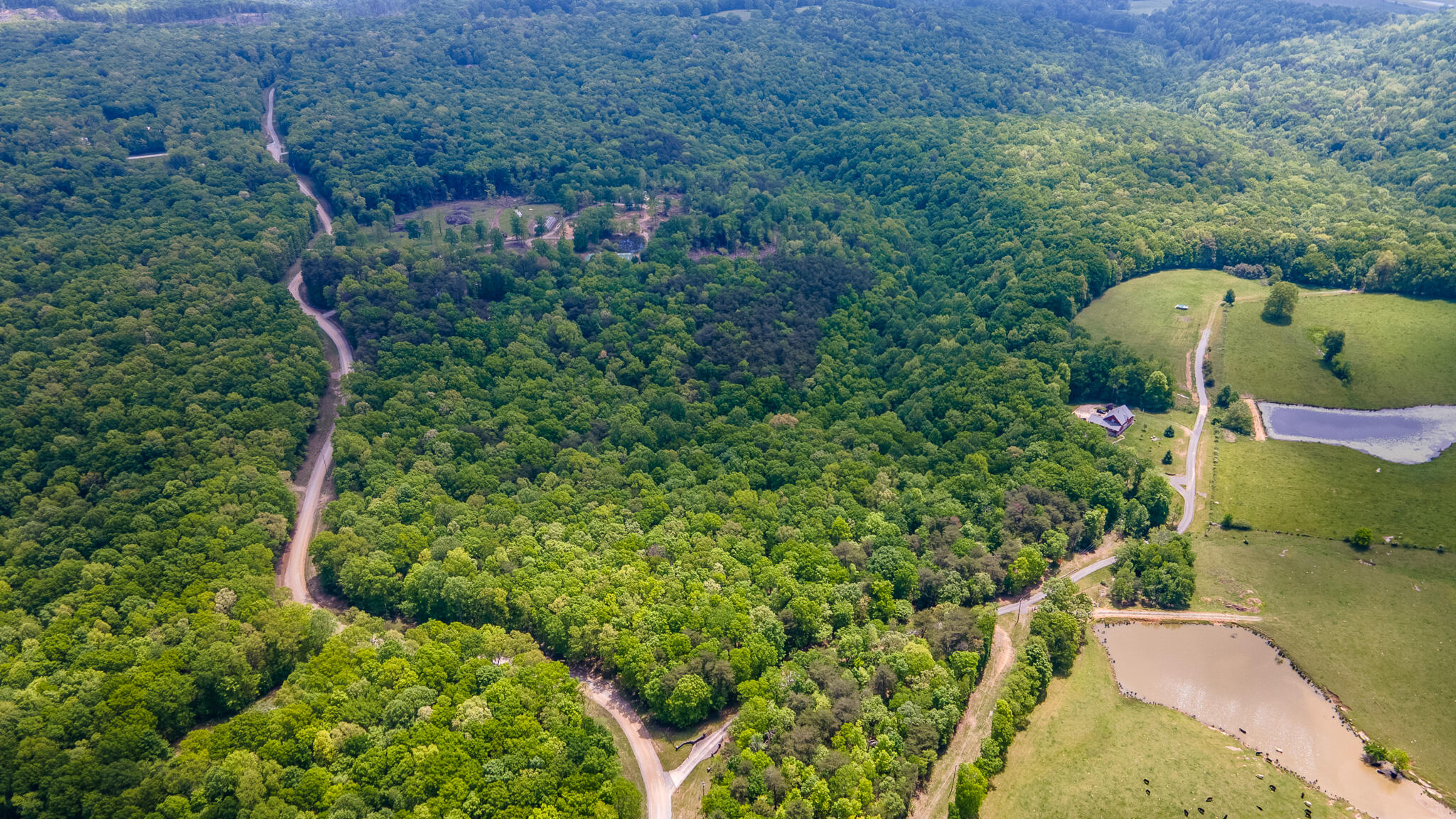 171 Fieldstone Lane, Pikeville, Tennessee image 33