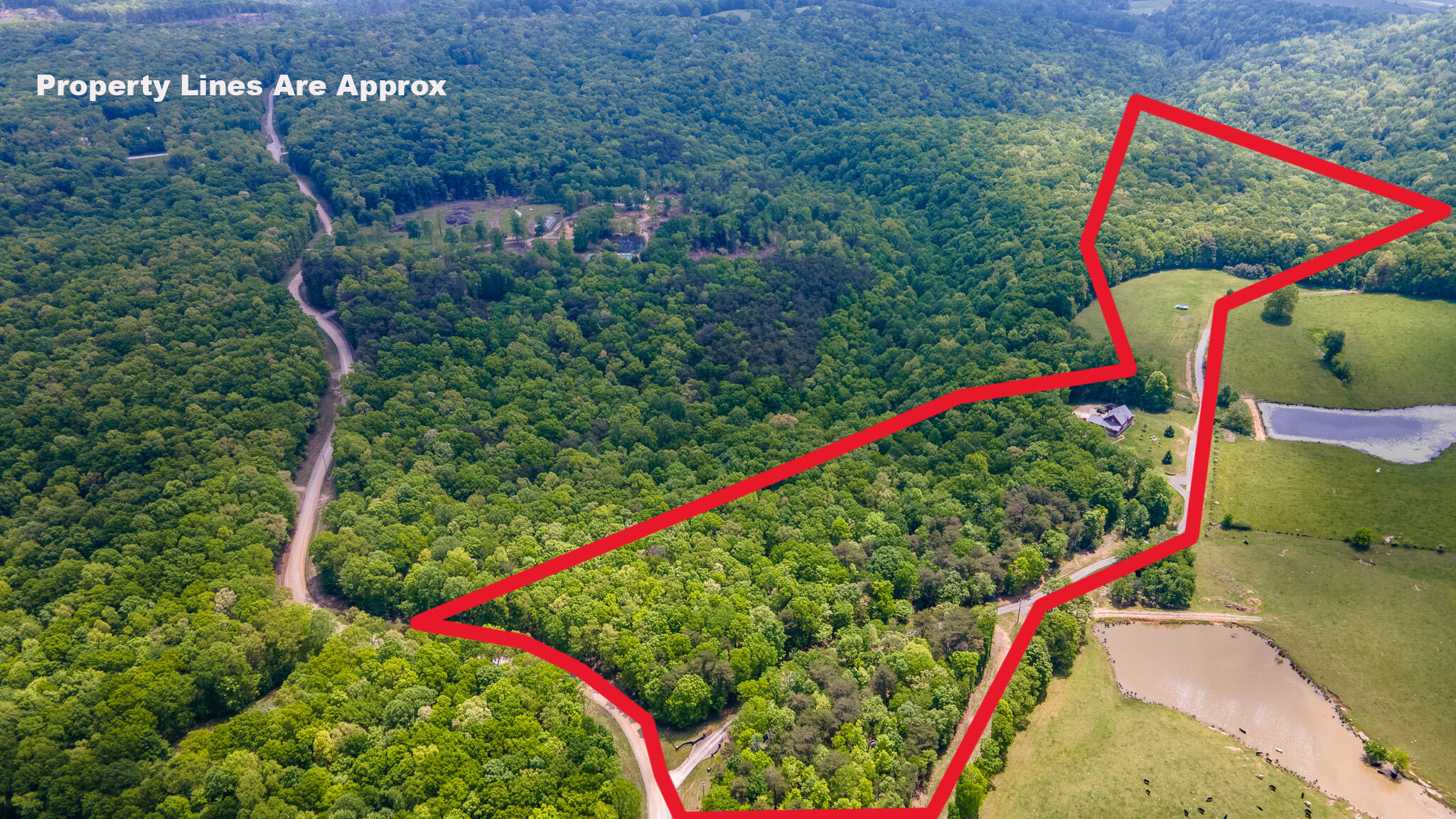 171 Fieldstone Lane, Pikeville, Tennessee image 34