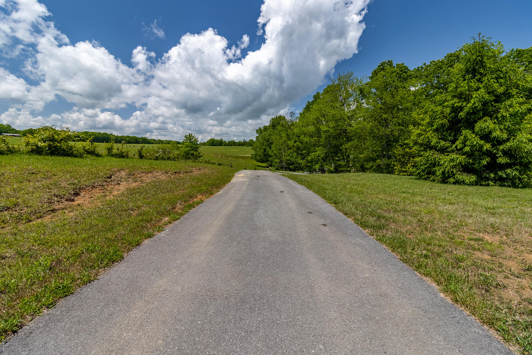 171 Fieldstone Lane, Pikeville, Tennessee image 29