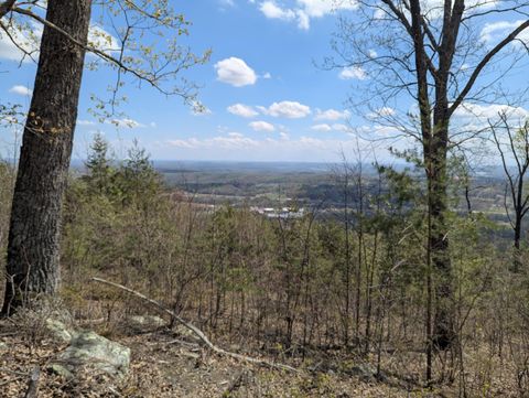 Vacant Land For Sale - LOT 6 Escape Drive<br/> Rhea County, Evensville, TN 37332