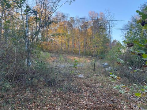 Photo of 135 David Brown Road, Jasper, TN 37347 (MLS # 1525023)