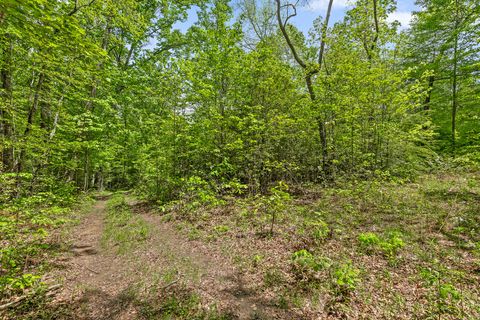 Tiny photo for 10 Acres Blaine Smith Road, Graysville, TN 37338 (MLS # 1511228)