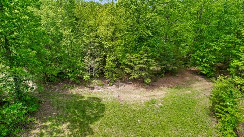 Tiny photo for 10 Acres Blaine Smith Road, Graysville, TN 37338 (MLS # 1511228)