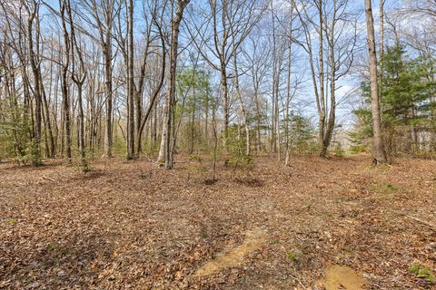 Tiny photo for 10 Acres Blaine Smith Road, Graysville, TN 37338 (MLS # 1511228)