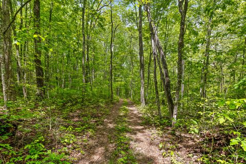Tiny photo for 10 Acres Blaine Smith Road, Graysville, TN 37338 (MLS # 1511228)