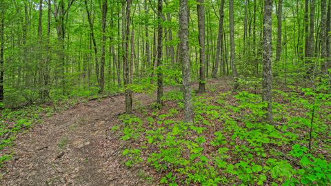 Tiny photo for 10 Acres Blaine Smith Road, Graysville, TN 37338 (MLS # 1511228)