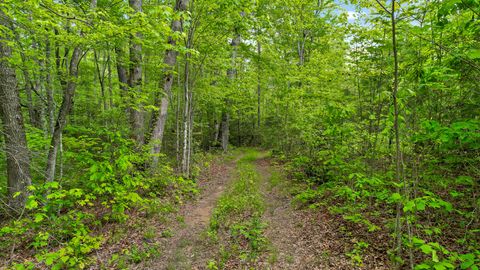 Tiny photo for 10 Acres Blaine Smith Road, Graysville, TN 37338 (MLS # 1511228)