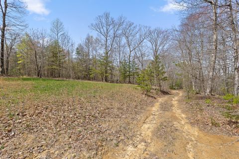 Tiny photo for 10 Acres Blaine Smith Road, Graysville, TN 37338 (MLS # 1511228)