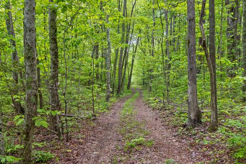 Tiny photo for 10 Acres Blaine Smith Road, Graysville, TN 37338 (MLS # 1511228)