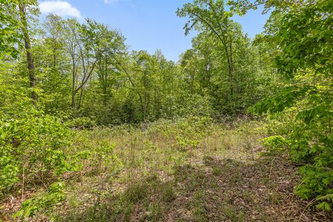 Tiny photo for 10 Acres Blaine Smith Road, Graysville, TN 37338 (MLS # 1511228)