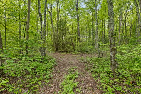 Tiny photo for 10 Acres Blaine Smith Road, Graysville, TN 37338 (MLS # 1511228)