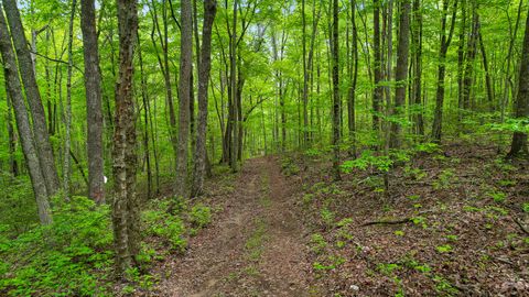 Tiny photo for 10 Acres Blaine Smith Road, Graysville, TN 37338 (MLS # 1511228)