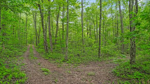 Tiny photo for 10 Acres Blaine Smith Road, Graysville, TN 37338 (MLS # 1511228)