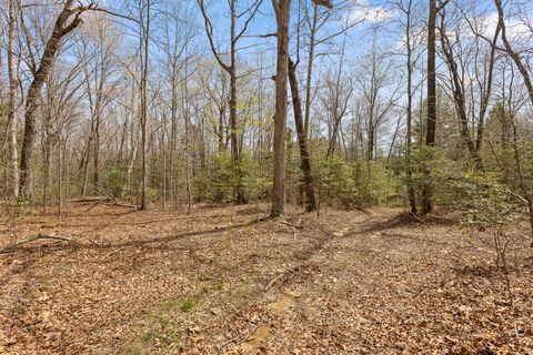 Tiny photo for 10 Acres Blaine Smith Road, Graysville, TN 37338 (MLS # 1511228)