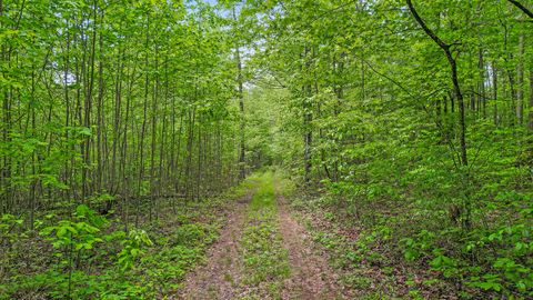 Tiny photo for 10 Acres Blaine Smith Road, Graysville, TN 37338 (MLS # 1511228)