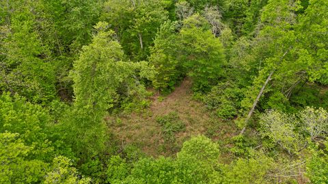 Tiny photo for 10 Acres Blaine Smith Road, Graysville, TN 37338 (MLS # 1511228)