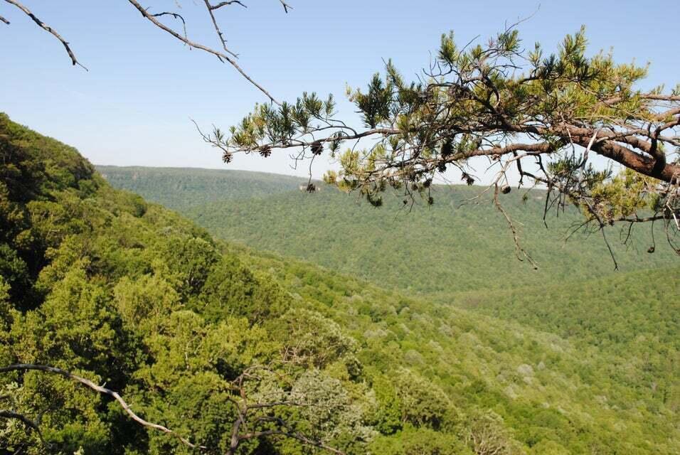 E Of Pocket Creek, Whitwell, Tennessee image 2