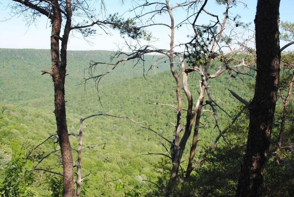 E Of Pocket Creek, Whitwell, Tennessee image 8