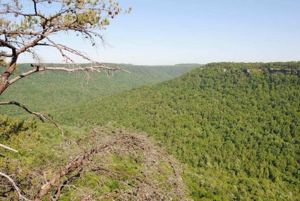 E Of Pocket Creek, Whitwell, Tennessee image 1