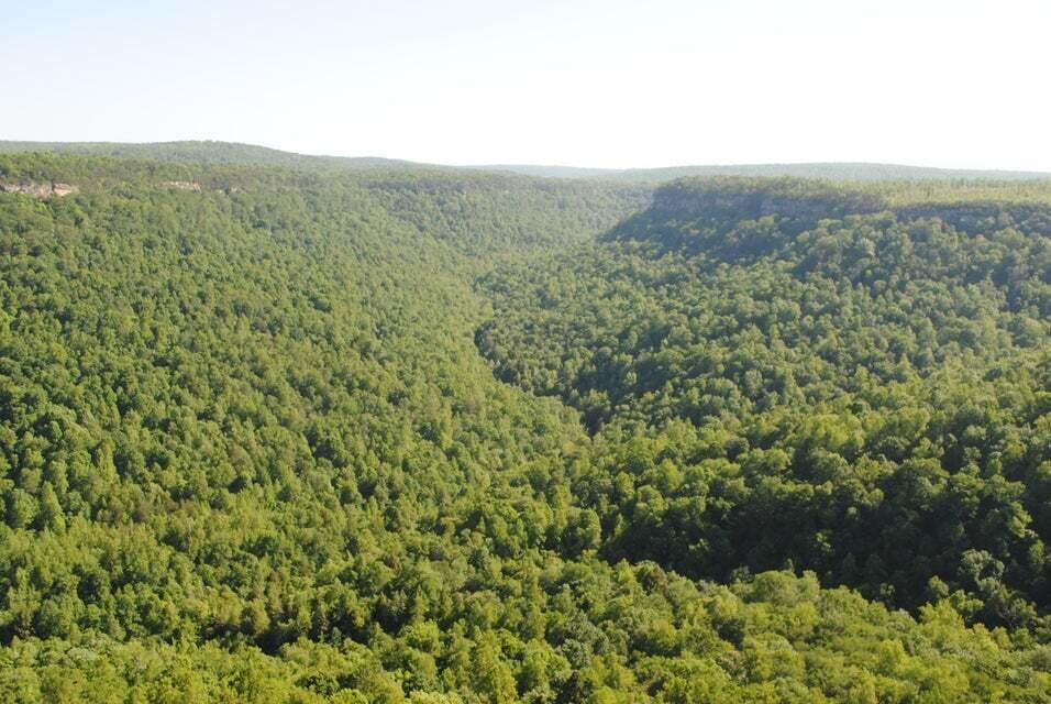 E Of Pocket Creek, Whitwell, Tennessee image 3