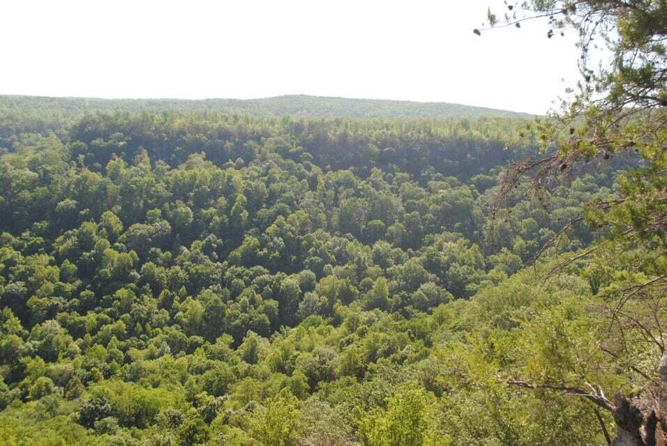 E Of Pocket Creek, Whitwell, Tennessee image 4