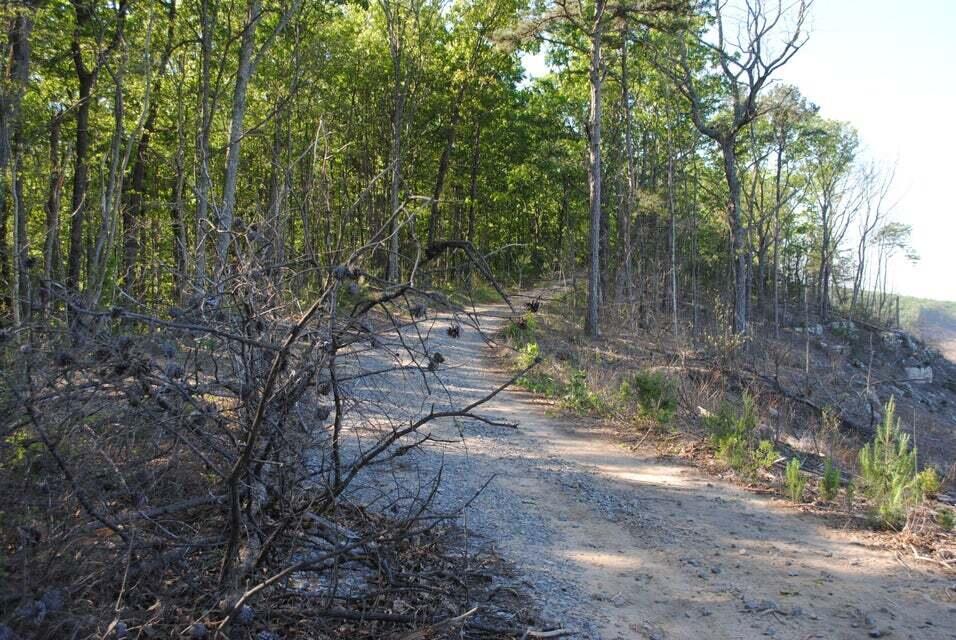 E Of Pocket Creek, Whitwell, Tennessee image 12