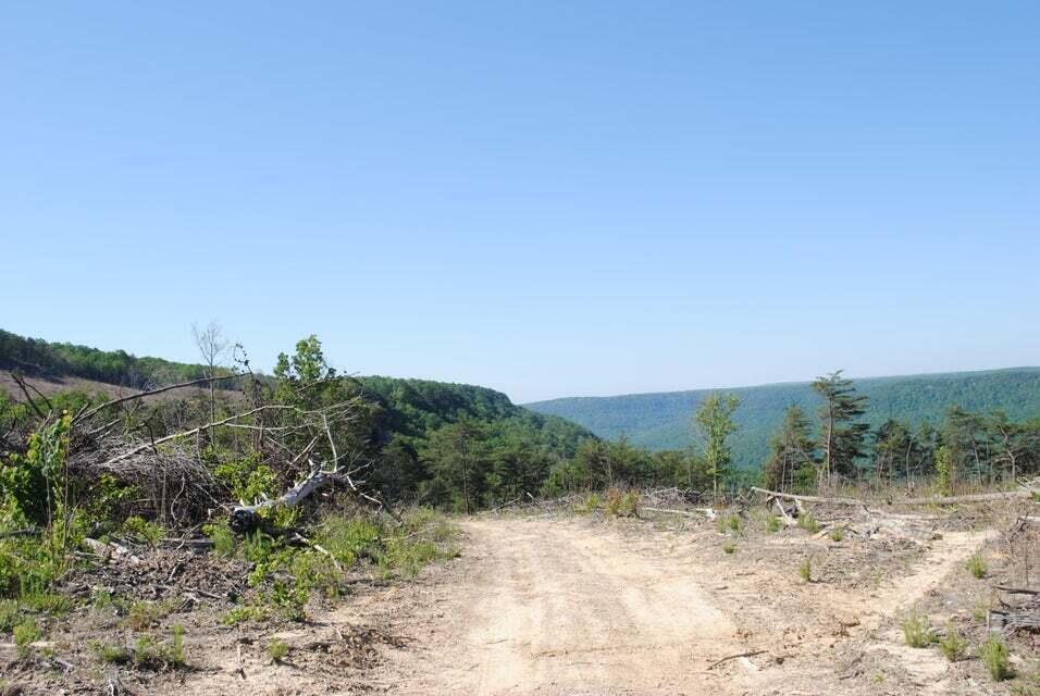 E Of Pocket Creek, Whitwell, Tennessee image 9