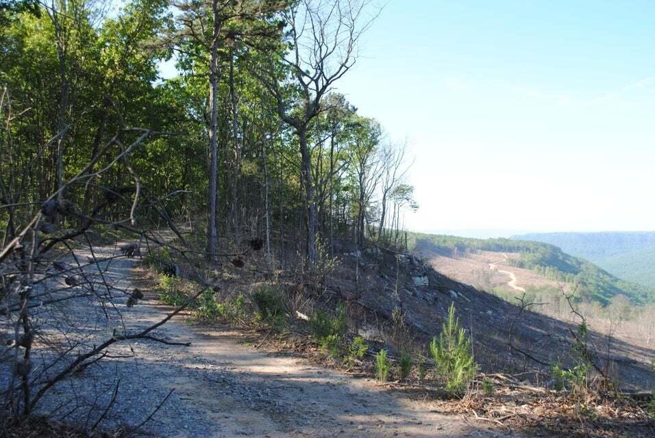 E Of Pocket Creek, Whitwell, Tennessee image 13