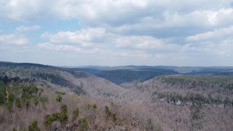 1211 Stooping Oak Road W Dunlap TN 37327