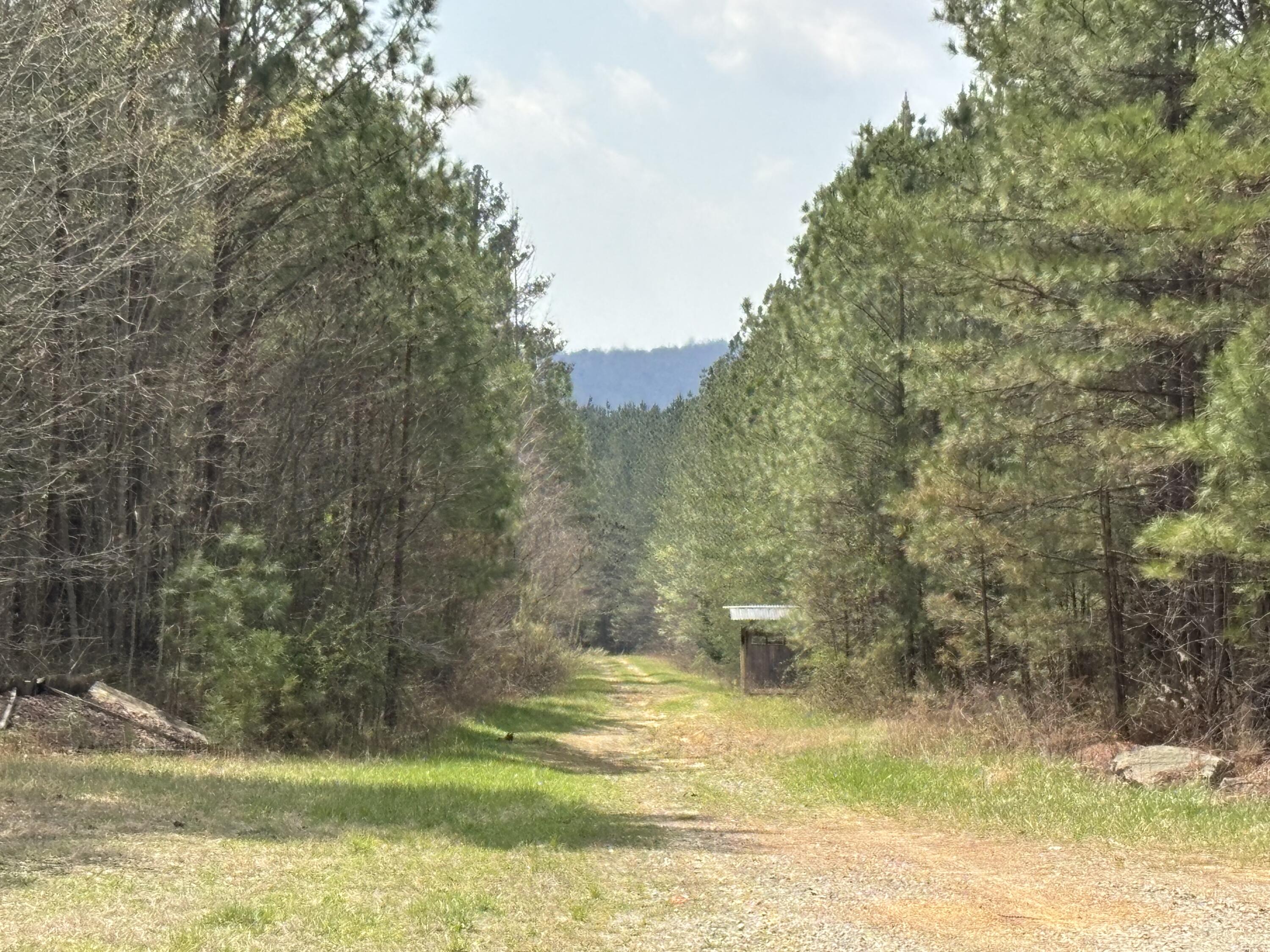 1211 Stooping Oak Road W