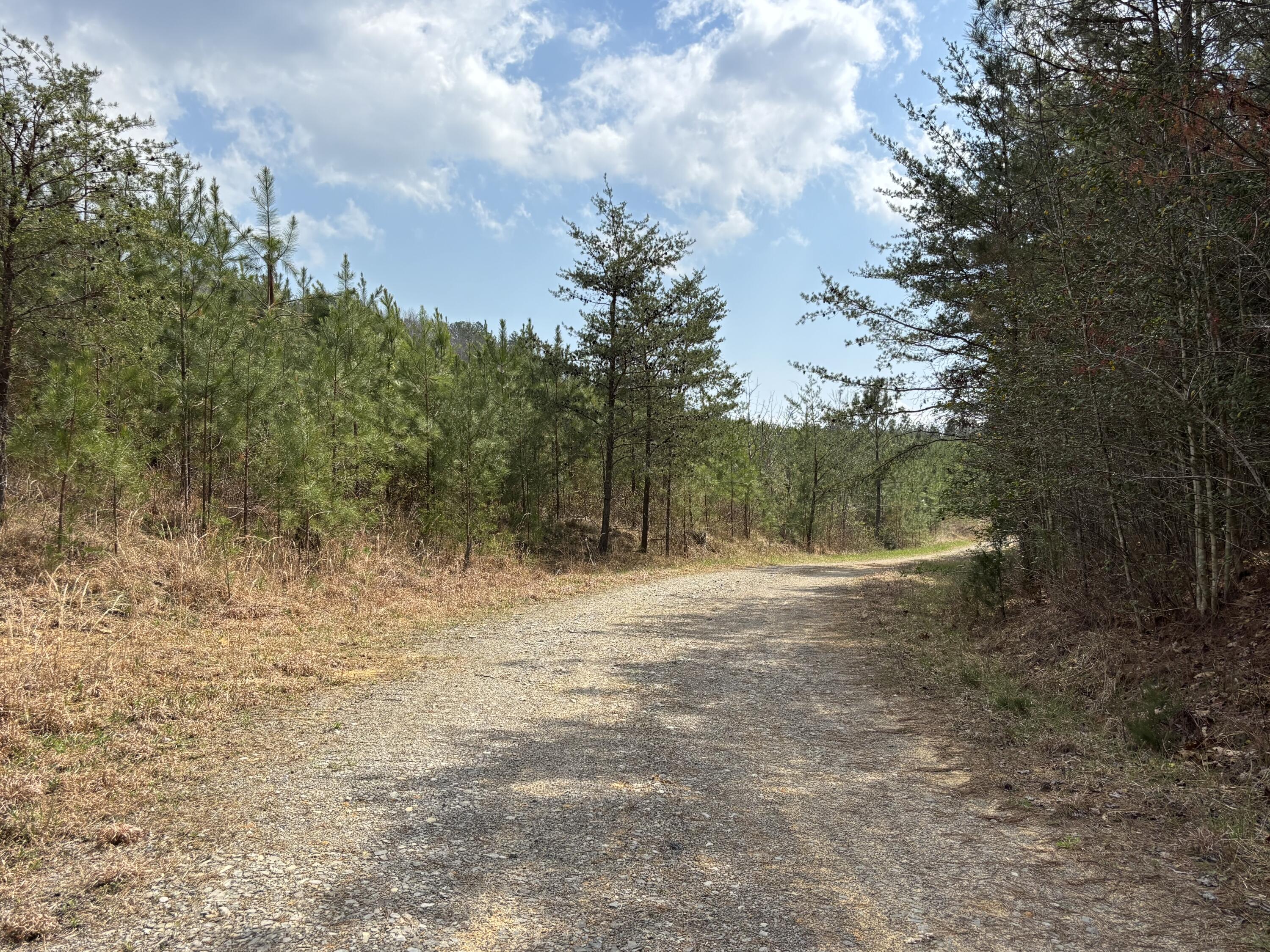 1211 Stooping Oak Road W