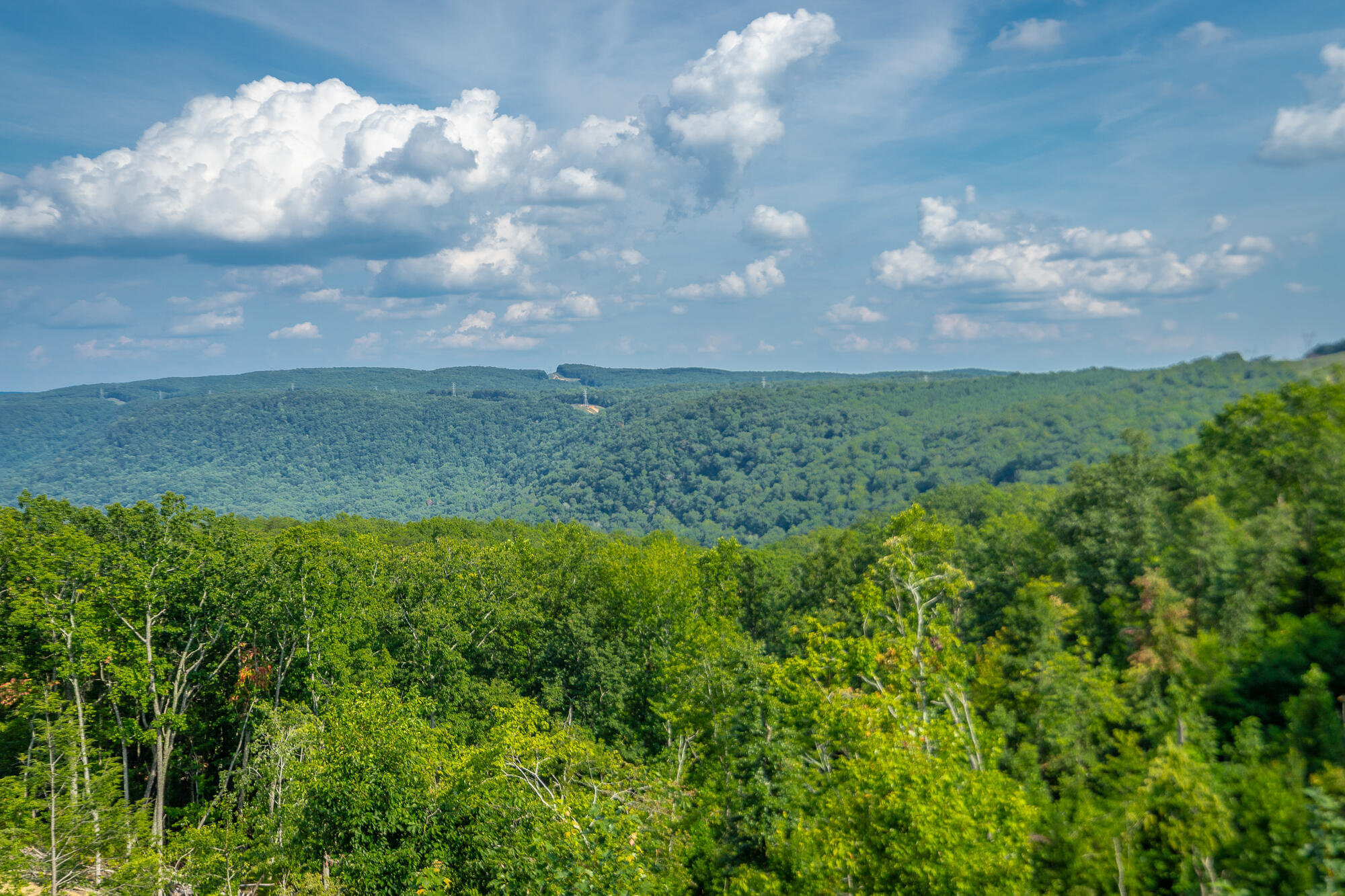 Catfish View #LOT 1300, Guild, Tennessee image 31