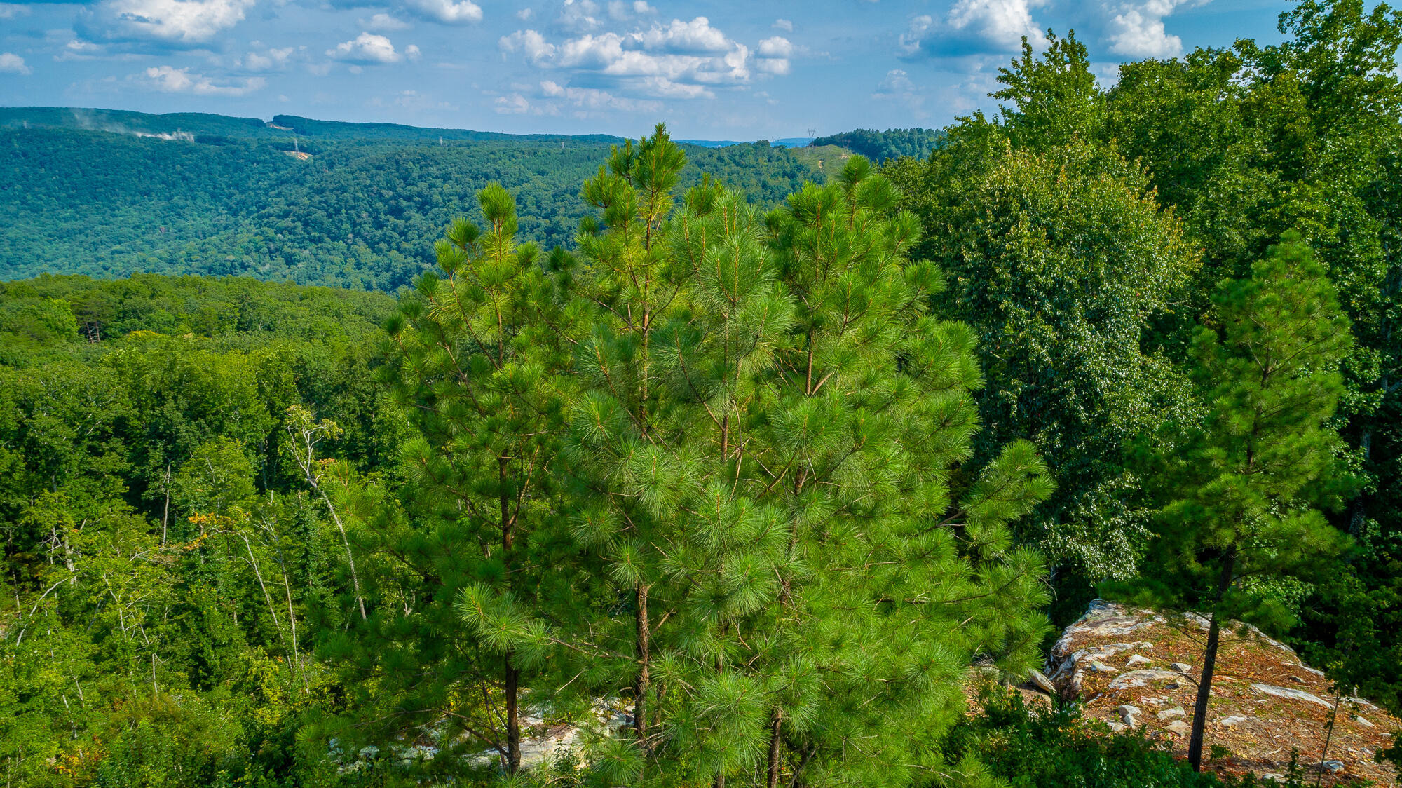 Catfish View #LOT 1300, Guild, Tennessee image 34