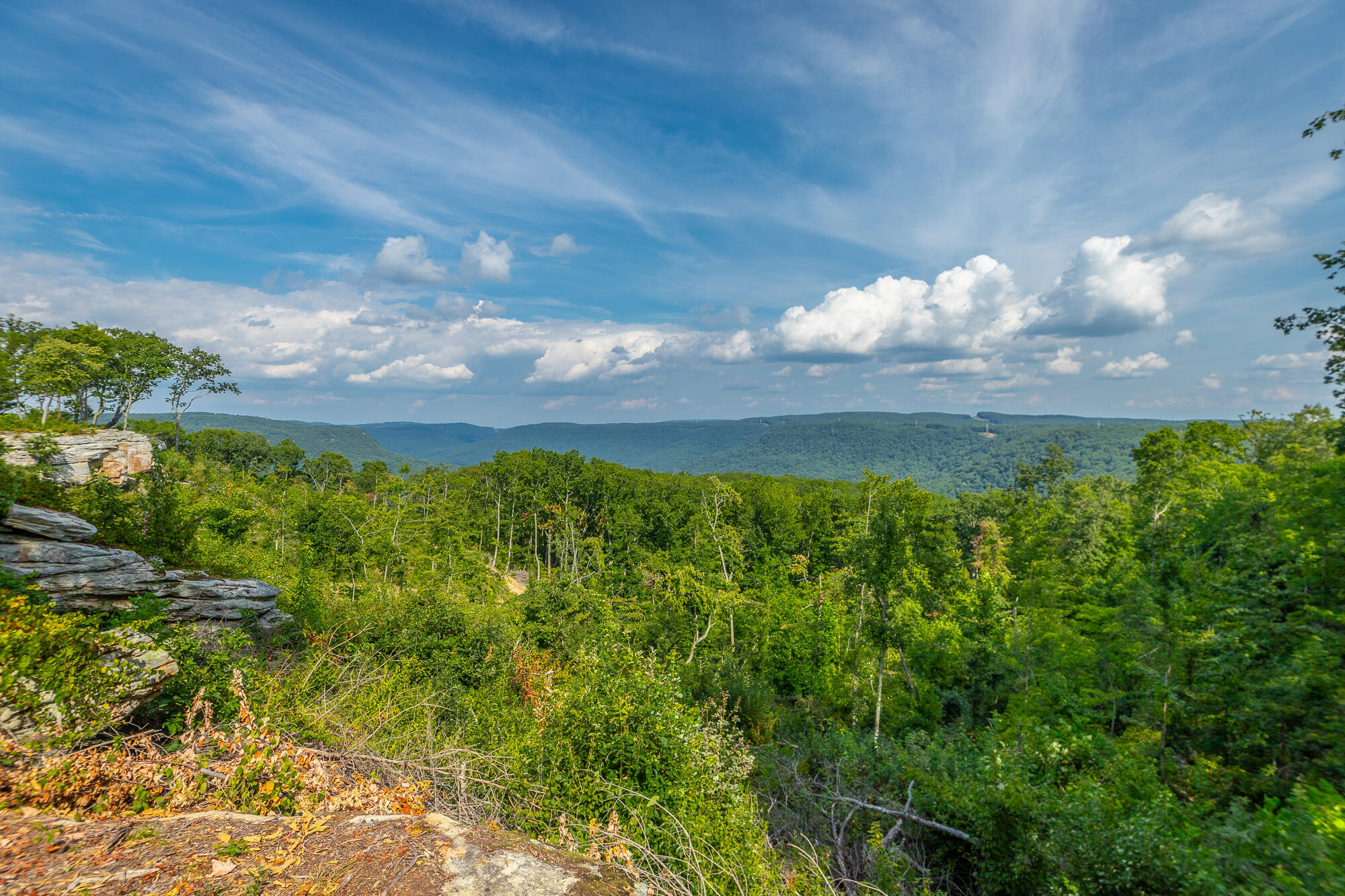 Catfish View #LOT 1300, Guild, Tennessee image 18