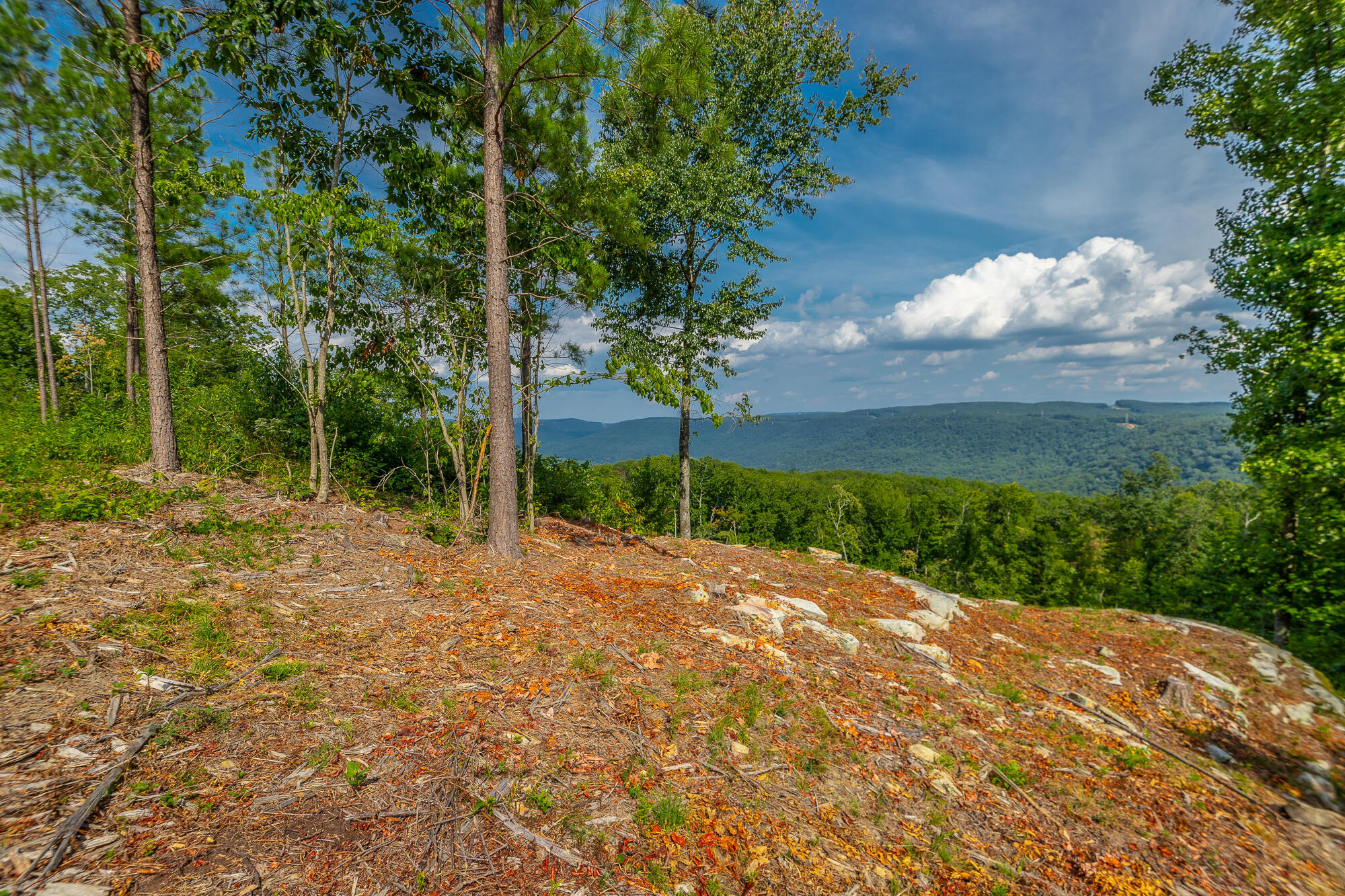 Catfish View #LOT 1300, Guild, Tennessee image 16