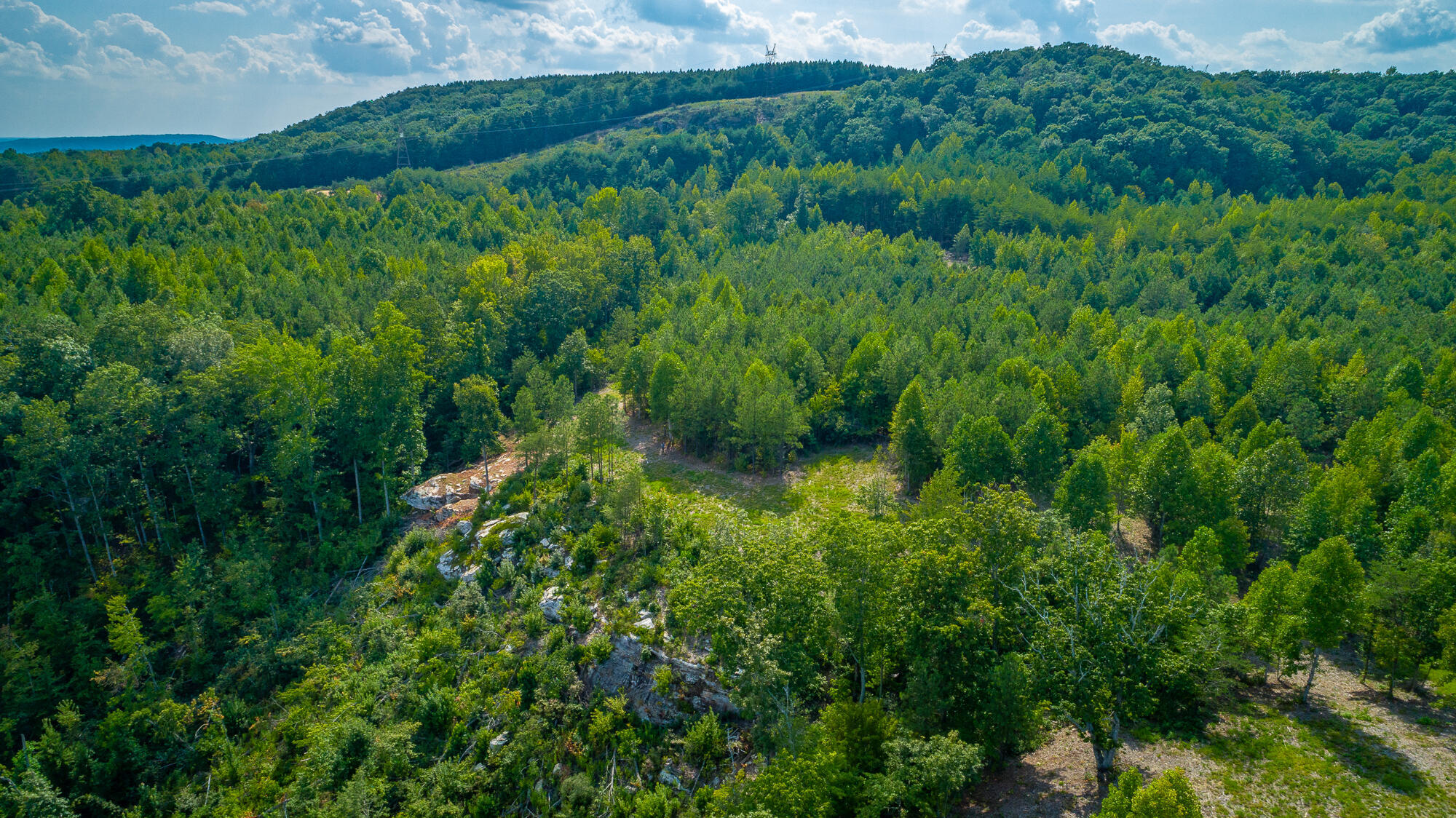 Catfish View #LOT 1300, Guild, Tennessee image 42