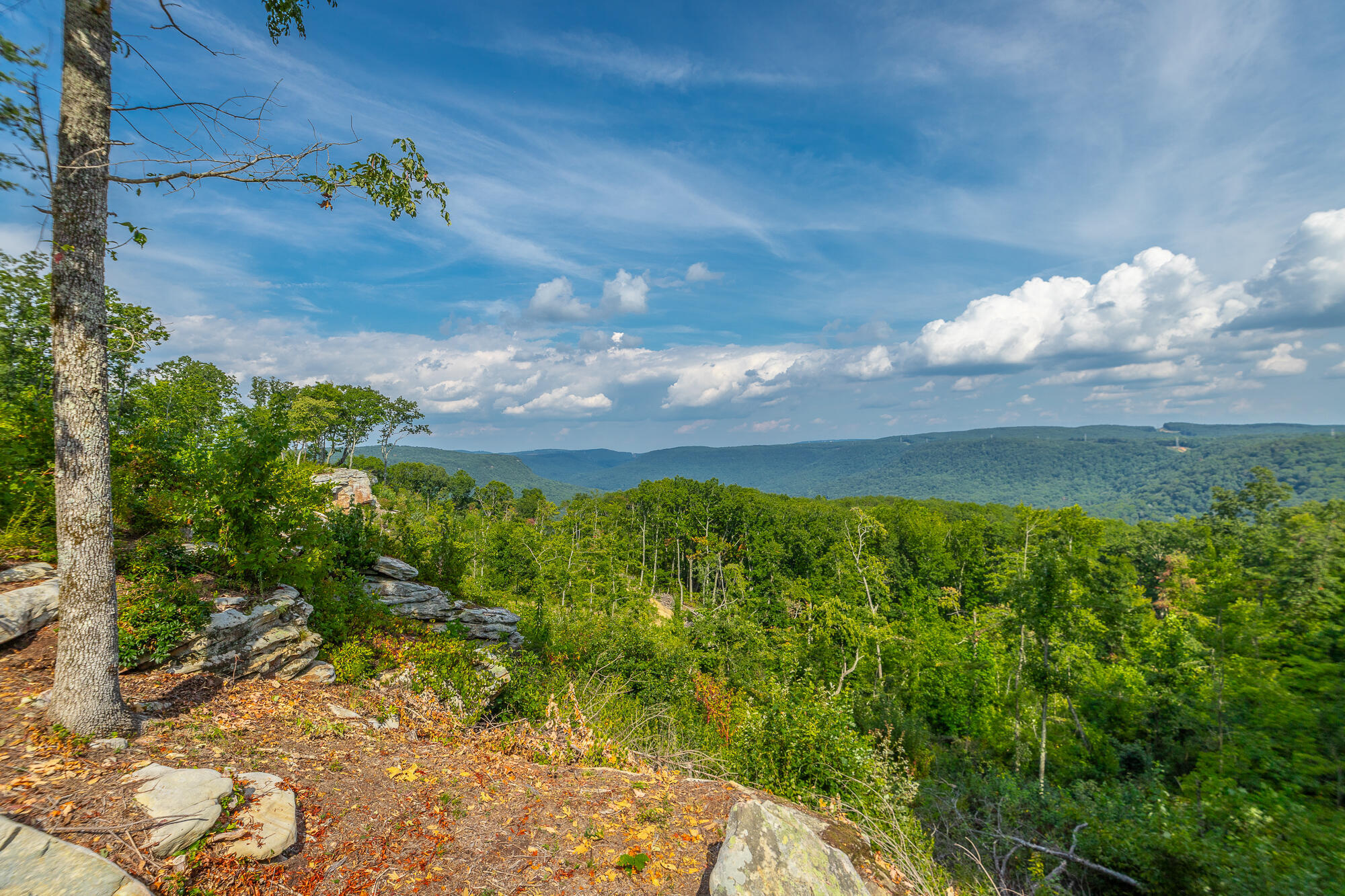 Catfish View #LOT 1300, Guild, Tennessee image 1