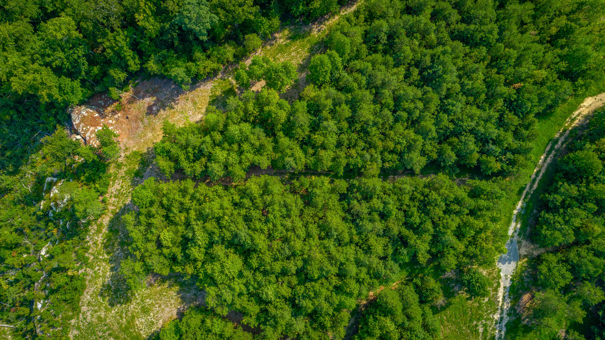 Catfish View #LOT 1300, Guild, Tennessee image 6