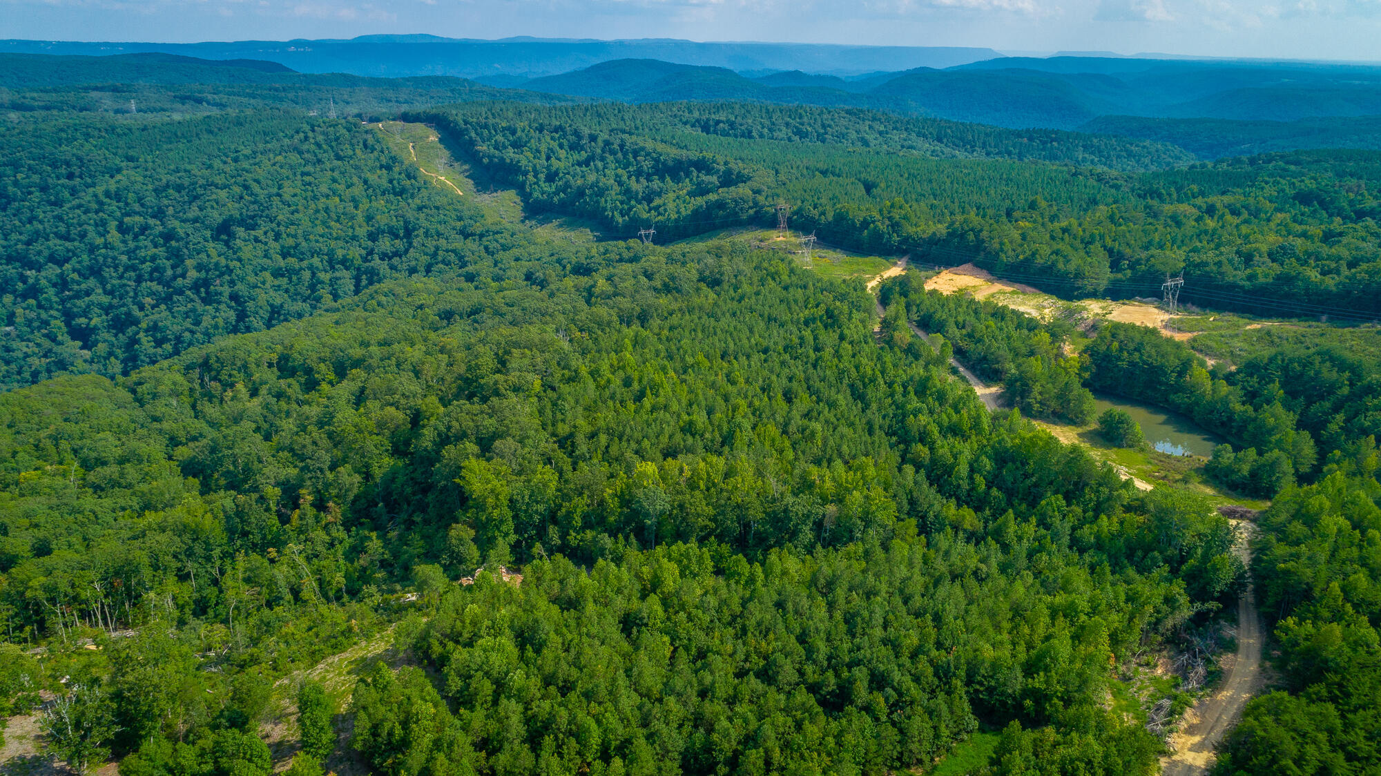 Catfish View #LOT 1300, Guild, Tennessee image 45