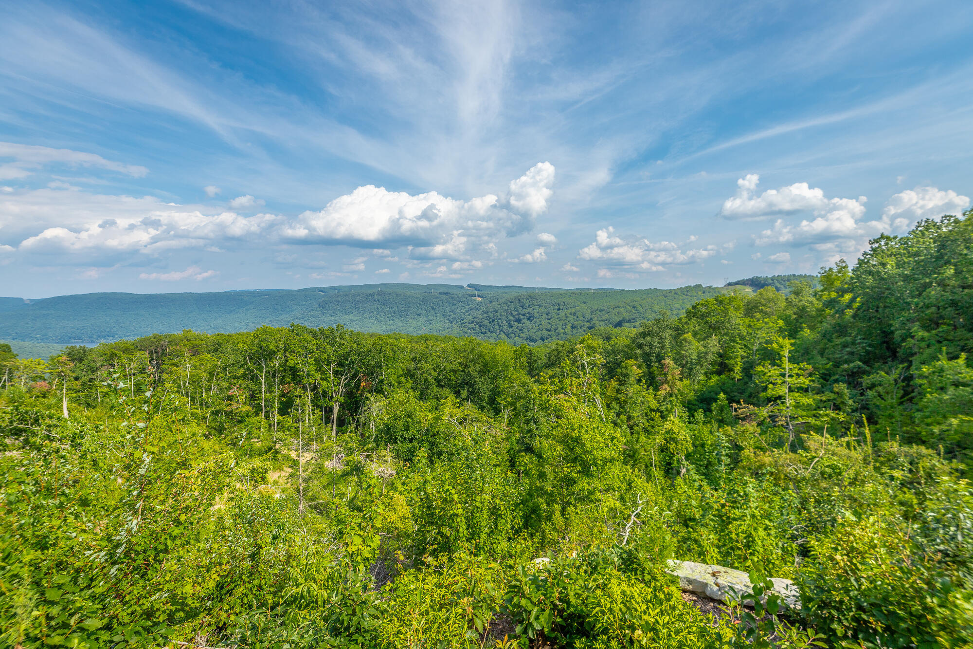 Catfish View #LOT 1300, Guild, Tennessee image 28