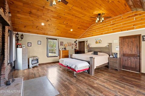 Tiny photo for 90 Illuminary Firetower Road, Spring City, TN 37381 (MLS # 1530302)