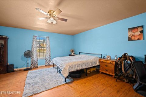 Tiny photo for 90 Illuminary Firetower Road, Spring City, TN 37381 (MLS # 1530302)
