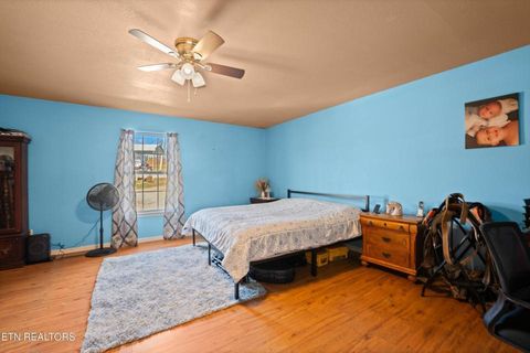 Tiny photo for 90 Illuminary Firetower Road, Spring City, TN 37381 (MLS # 1530302)