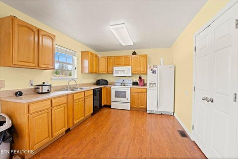 Tiny photo for 90 Illuminary Firetower Road, Spring City, TN 37381 (MLS # 1530302)