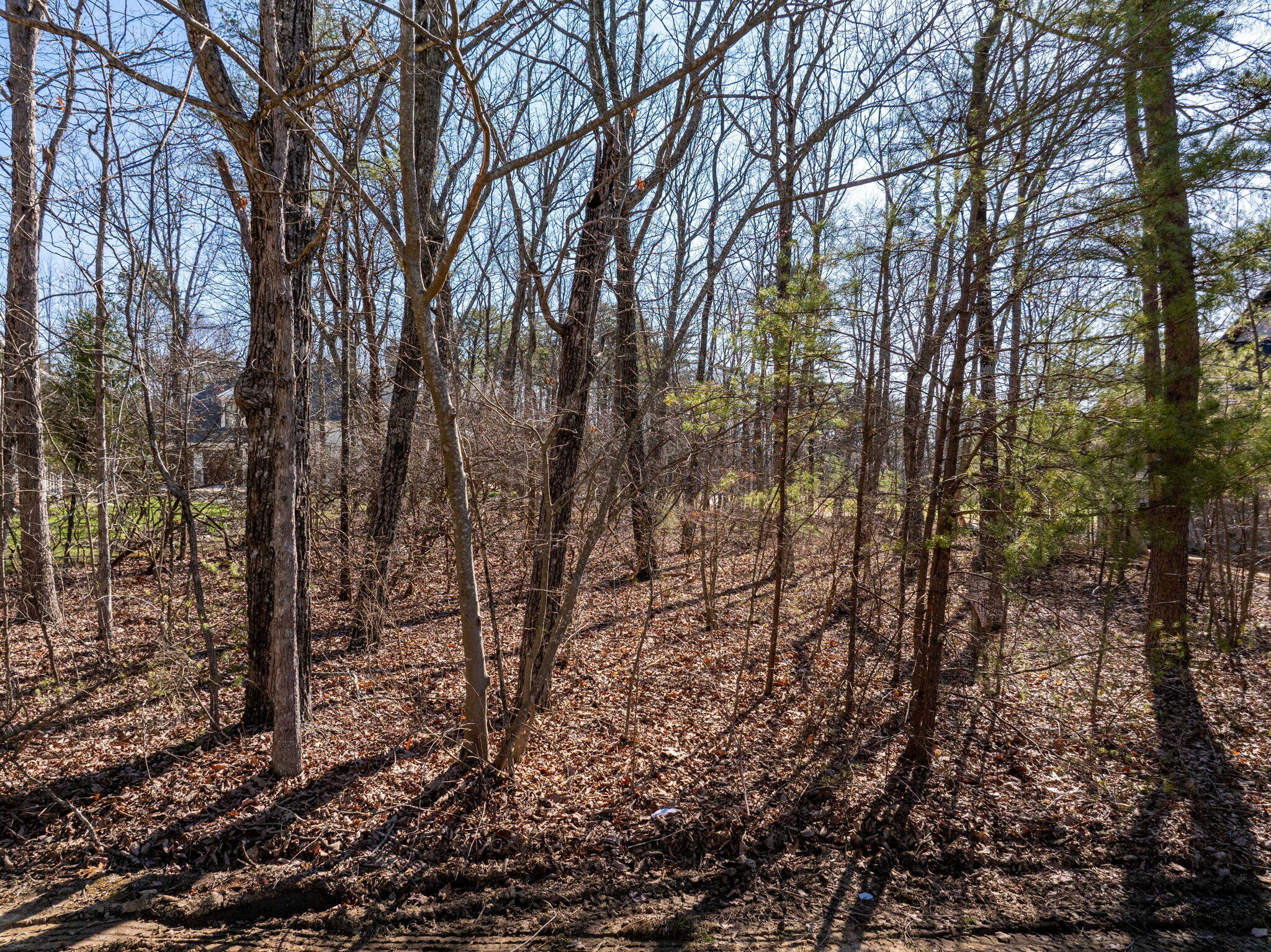 Arrow Ranch Road #LOT F-2, Rising Fawn, Georgia image 22