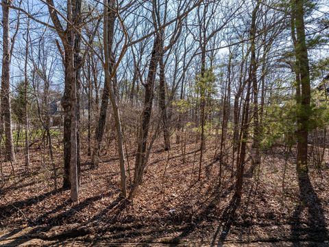 Tiny photo for 0 Arrow Ranch Road #Lot F-2, Rising Fawn, GA 30738 (MLS # 1513164)