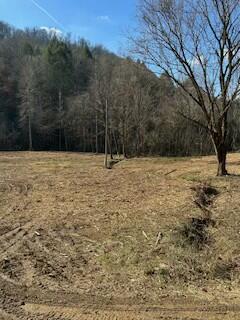 63.74 Acre Chestnut Valley Road, Vonore, Tennessee image 11